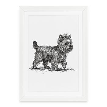 Yorkshire Terrier Sketch – Hund Design - Gerahmtes Poster (27 × 37 cm) - Weiß - Vorne