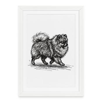 Zwergspitz Sketch – Minimalistisches Hund Design - Gerahmtes Poster (27 × 37 cm) - Weiß - Vorne