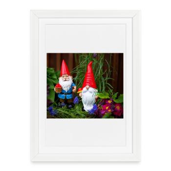 Nain de jardin avec des chapeaux rouges - Affiche encadrée (27 × 37 cm) - blanc - Devant