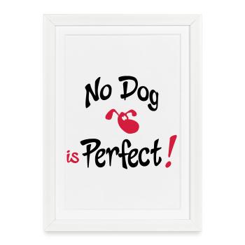 drôle de chien - Affiche encadrée (27 × 37 cm) - blanc - Devant
