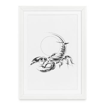Scorpion Symbol Illustration Graphic Icon Sketches - Affiche encadrée (27 × 37 cm) - blanc - Devant