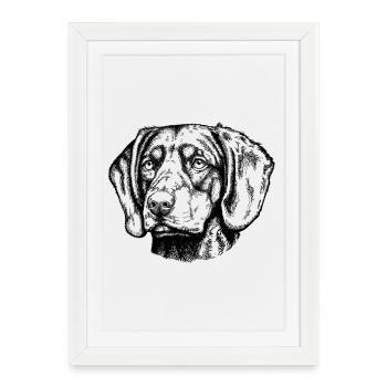 Brandelbracke Portrait - Affiche encadrée (27 × 37 cm) - blanc - Devant