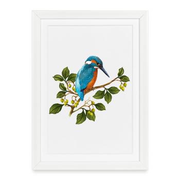 Oiseau coloré - Affiche encadrée (27 × 37 cm) - blanc - Devant