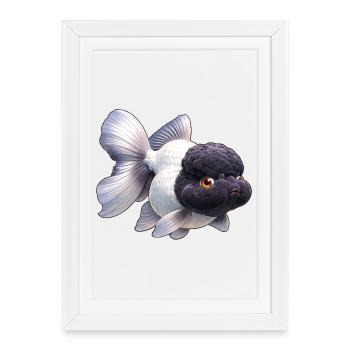 Poissons rouges Oranda de haute qualité noirs et blancs - Affiche encadrée (27 × 37 cm) - blanc - Devant