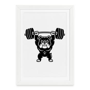 Muscle bulldog lifts heavy dumbbell - Framed poster (27 × 37 cm) - white - Front