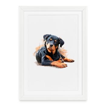 Rottweiler - Framed poster (27 × 37 cm) - white - Front