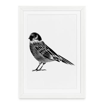un dessin en noir et blanc d'un oiseau - Affiche encadrée (27 × 37 cm) - blanc - Devant