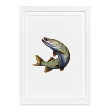 Pike - Affiche encadrée (27 × 37 cm) - blanc - Devant