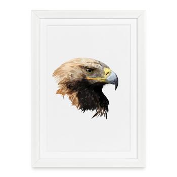 aigle - Affiche encadrée (27 × 37 cm) - blanc - Devant