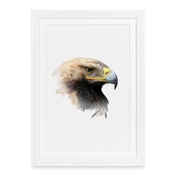 aigle - Affiche encadrée (27 × 37 cm) - blanc - Devant