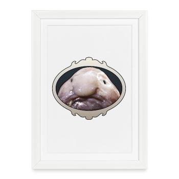 Laid blobfish, laid, Mr Blob - Affiche encadrée (27 × 37 cm) - blanc - Devant