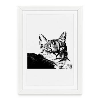 Chat Chat Chat Chat Chemise Cadeau - Affiche encadrée (27 × 37 cm) - blanc - Devant