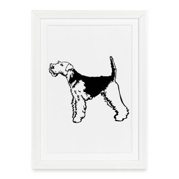 Welsh Terrier - Framed poster (27 × 37 cm) - white - Front