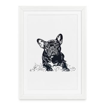 Bouledogue Français - Affiche encadrée (27 × 37 cm) - blanc - Devant