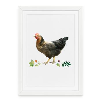 Poulet - Affiche encadrée (27 × 37 cm) - blanc - Devant