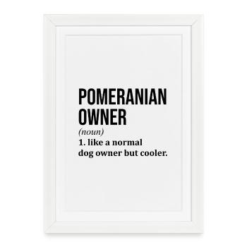 Poméranie Poméranienne Poméranie - Affiche encadrée (27 × 37 cm) - blanc - Devant