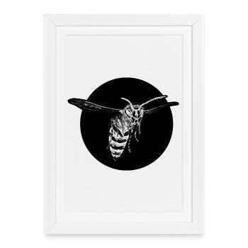 Wasp - Bee - Insect - Framed poster (27 × 37 cm) - white - Front