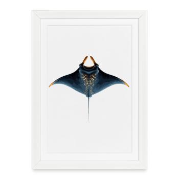 Manta Ray, Devil Ray, Stingray, Diver - Framed poster (27 × 37 cm) - white - Front