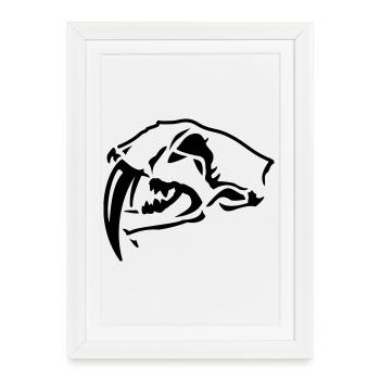 Crâne de tigre à dents de sabre - Affiche encadrée (27 × 37 cm) - blanc - Devant