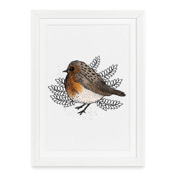 Robins on Branches - Framed poster (27 × 37 cm) - white - Front