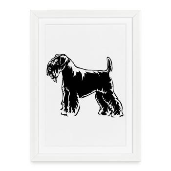 Schnauzer - Affiche encadrée (27 × 37 cm) - blanc - Devant