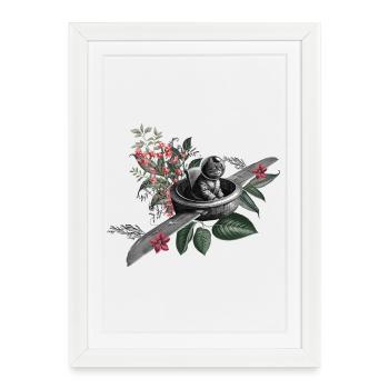 Le chat volant - Affiche encadrée (27 × 37 cm) - blanc - Devant
