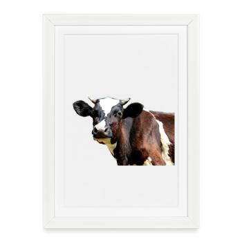 Vache - Affiche encadrée (27 × 37 cm) - blanc - Devant
