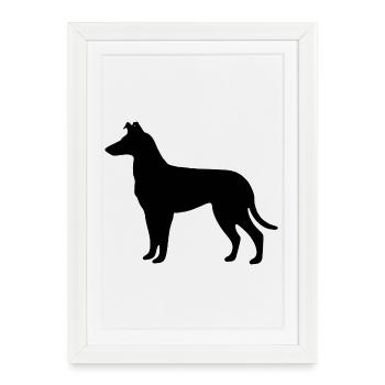 Collie_Schwarz - Affiche encadrée (27 × 37 cm) - blanc - Devant
