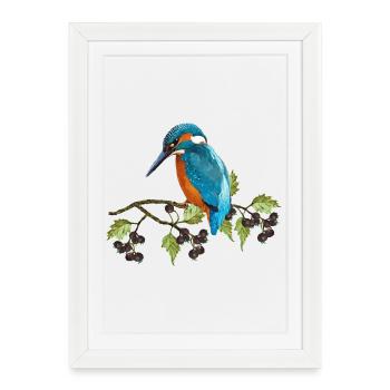 Oiseau coloré - Affiche encadrée (27 × 37 cm) - blanc - Devant