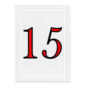 15. 15 ANS. 15e ANNIVERSAIRE. ANNIVERSAIRE 15 ANS. - Affiche encadrée (27 × 37 cm) - blanc - Devant