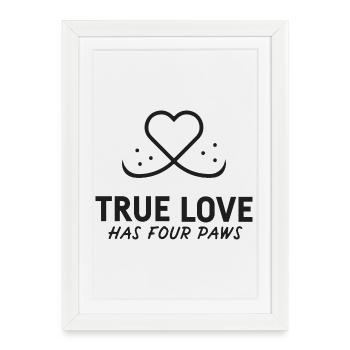 True love has 4 paws - Framed poster (27 × 37 cm) - white - Front