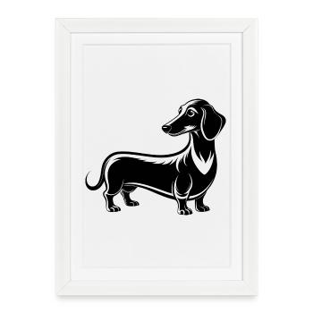 Extra Long Daschund - Affiche encadrée (27 × 37 cm) - blanc - Devant