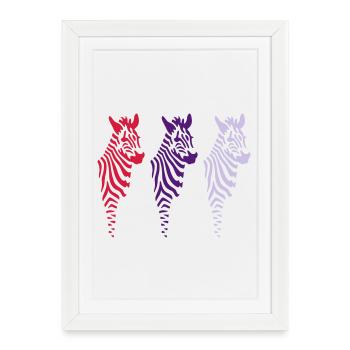 three zebras (b) - Framed poster (27 × 37 cm) - white - Front