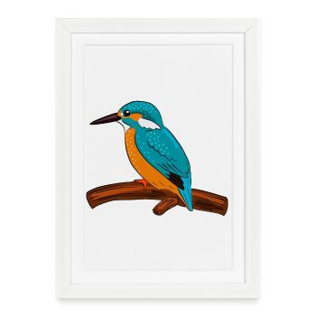 martin-pêcheur - Affiche encadrée (27 × 37 cm) - blanc - Devant