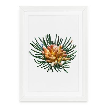 Creative fir branches - Framed poster (27 × 37 cm) - white - Front
