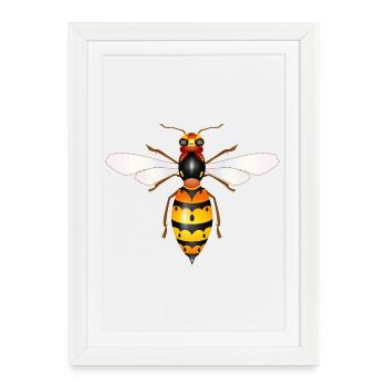 Drawing of a fascinating hornet - Framed poster (27 × 37 cm) - white - Front
