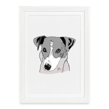 Jack Russel Terrier - Affiche encadrée (27 × 37 cm) - blanc - Devant