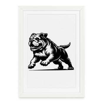 Bouledogue anglais - Affiche encadrée (27 × 37 cm) - blanc - Devant