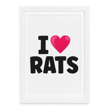 Rat Rats - Affiche encadrée (27 × 37 cm) - blanc - Devant