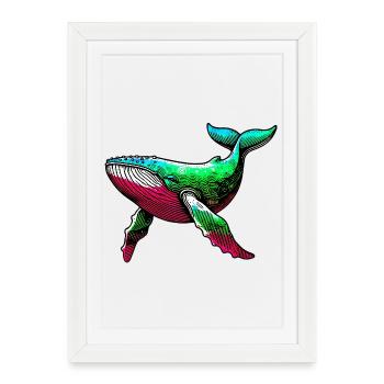 Whale - Framed poster (27 × 37 cm) - white - Front