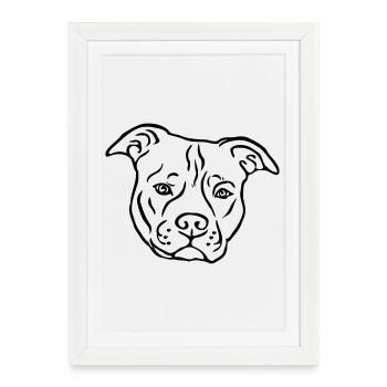Tête de Satffordshire terrier américain - Affiche encadrée (27 × 37 cm) - blanc - Devant