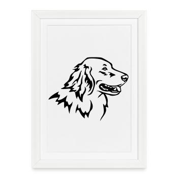 Tête de Hovawart - Affiche encadrée (27 × 37 cm) - blanc - Devant