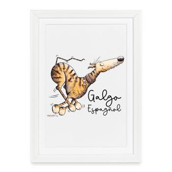 Happy Galgo Espagnol Wild Dog Dogs Cartoon - Affiche encadrée (27 × 37 cm) - blanc - Devant