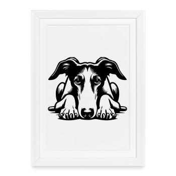 Galgo Kopf mit Pfoten - Gerahmtes Poster (27 × 37 cm) - Weiß - Vorne