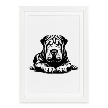 Shar Pei - Affiche encadrée (27 × 37 cm) - blanc - Devant