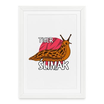 Tigre Ślimak | Chemise polonaise drôle - Affiche encadrée (27 × 37 cm) - blanc - Devant