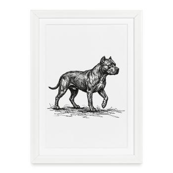 Pitbull Sketch – Minimalistisches Hund Design - Gerahmtes Poster (27 × 37 cm) - Weiß - Vorne