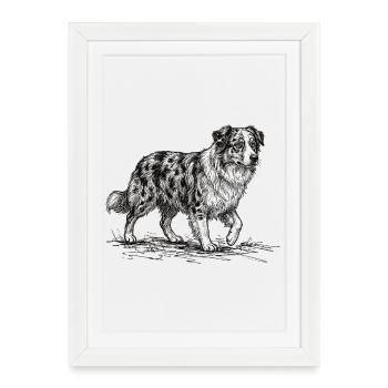 Australian Shepherd Sketch – Hund Design - Gerahmtes Poster (27 × 37 cm) - Weiß - Vorne