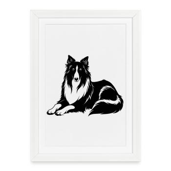 Ponte de chiens colley - Affiche encadrée (27 × 37 cm) - blanc - Devant