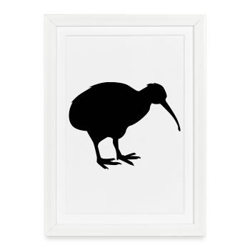 Kiwibird Nouvelle-Zélande - Affiche encadrée (27 × 37 cm) - blanc - Devant